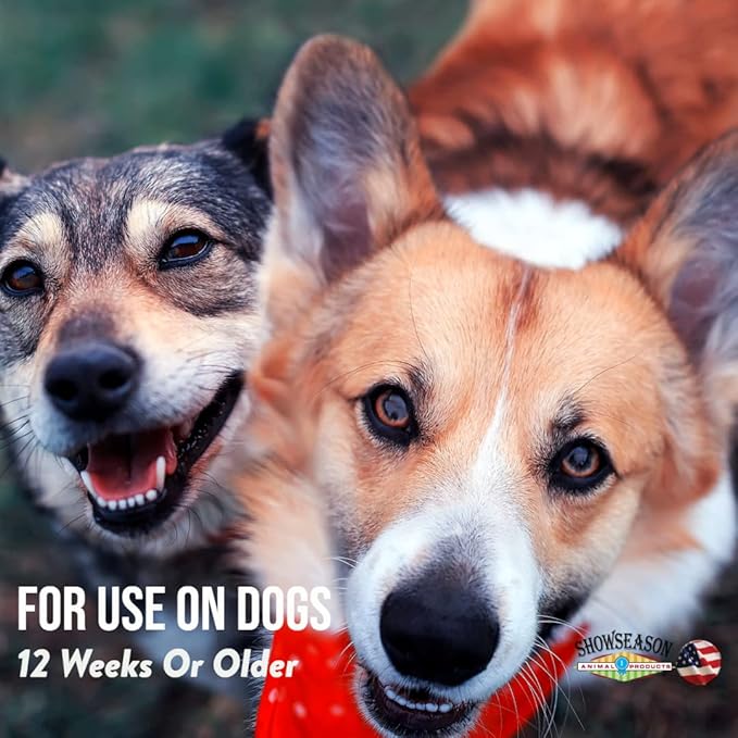 Pumpkin Spice Conditioner for Dogs & Cats 1 Gallon | Cruelty-Free | Paraben-Free | Biodegradable and Non-Toxic | Made in The USA