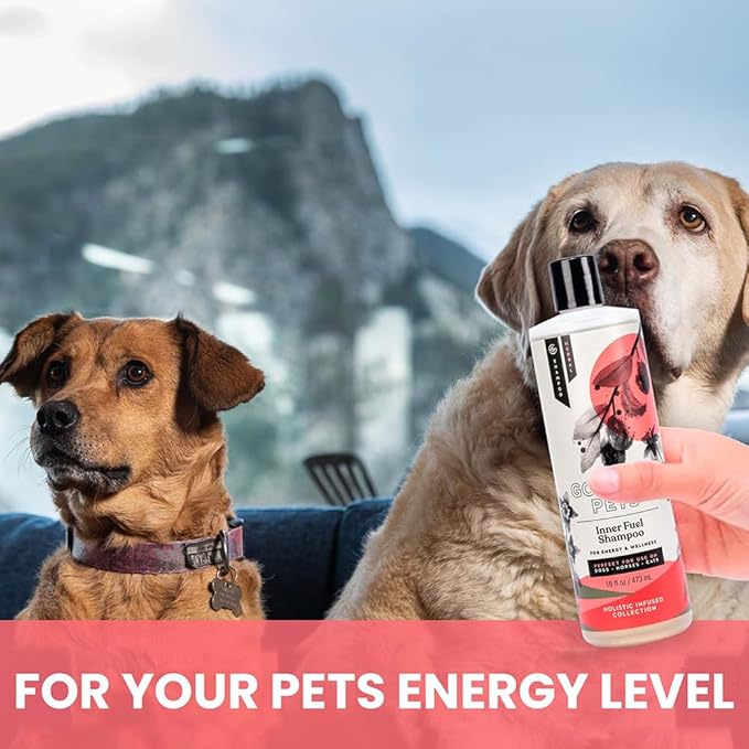 Holistic Natural Derived Goji Berry & Jujube Pet Shampoo: Veterinarian Recommended - Energy & Wellness for Your Dog, Cat and Horse Coat - Made in USA - 16 oz