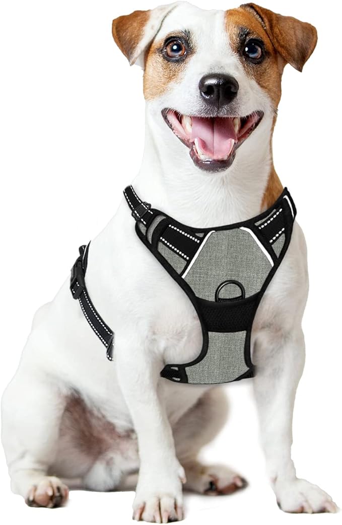 BARKBAY No Pull Dog Harness Front Clip Heavy Duty Reflective Easy Control Handle for Large Dog Walking(Flint Gray,M)