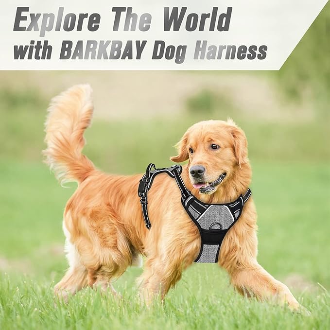 BARKBAY No Pull Dog Harness Front Clip Heavy Duty Reflective Easy Control Handle for Large Dog Walking(Flint Gray,M)