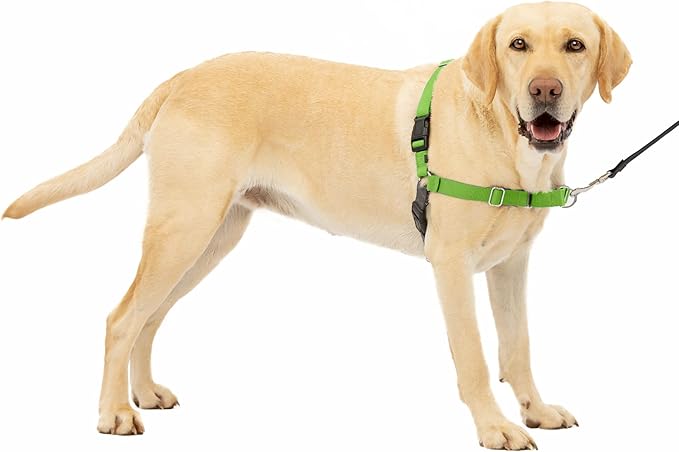 PetSafe Easy Walk No-Pull Dog Harness - The Ultimate Harness to Help Stop Pulling - Take Control & Teach Better Leash Manners - Helps Prevent Pets Pulling on Walks, Large, Apple Green/Gray