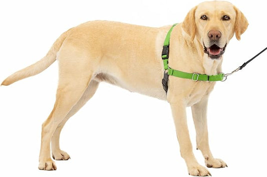 PetSafe Easy Walk No-Pull Dog Harness - The Ultimate Harness to Help Stop Pulling - Take Control & Teach Better Leash Manners - Helps Prevent Pets Pulling on Walks, Large, Apple Green/Gray