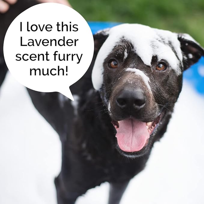 5-in-1 Dog Wash Moisturizing Lavender Shampoo, by Kira Labs 960ml/32fl
