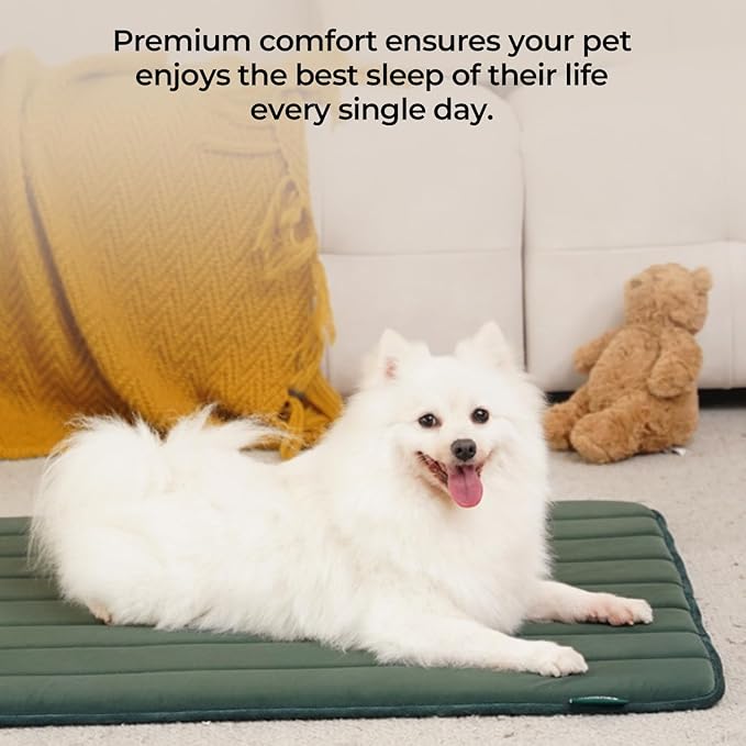 BALANCE Dog Crate Pad, Dog Foam Crate Mat Kennel Pad, Washable Water-Resistant Pet Bed Flat Dog Cage Mat for Small Dogs