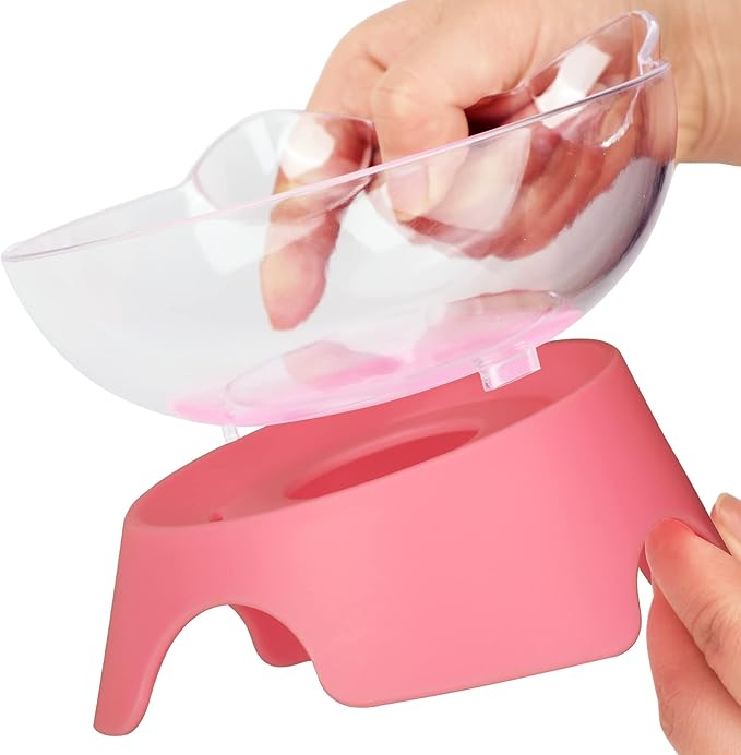 MILIFUN Raised Cat Food Bowls with Stand, Cat Dishes for Food or Water, Tilted Bowl, Pet Dish with Stand