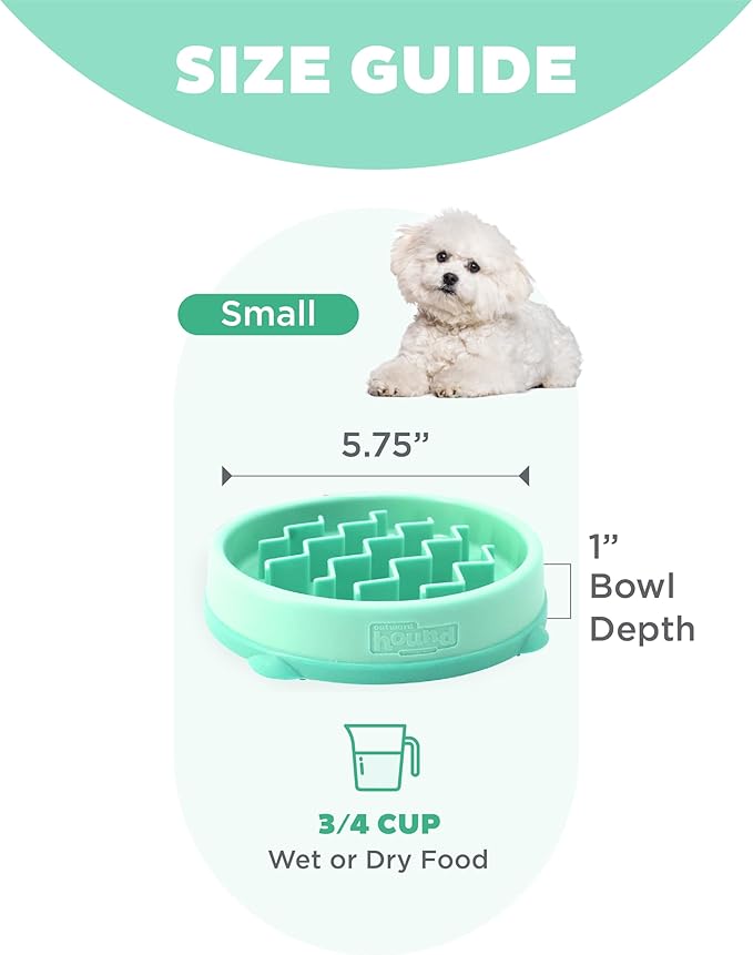 Outward Hound Fun Feeder Slo Bowl Slow Pet Feeder Bowl for Dogs in Mint Plastic