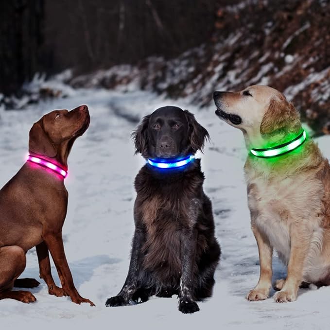 BSEEN Light Up Dog Collar - Reflective LED Dog Collar Light, Adjustable Glowing Puppy Collar, Rechargeable Dog Camping Gear Dog Walking Lights for Small Medium Large Dogs (Small, Pink Ⅱ)