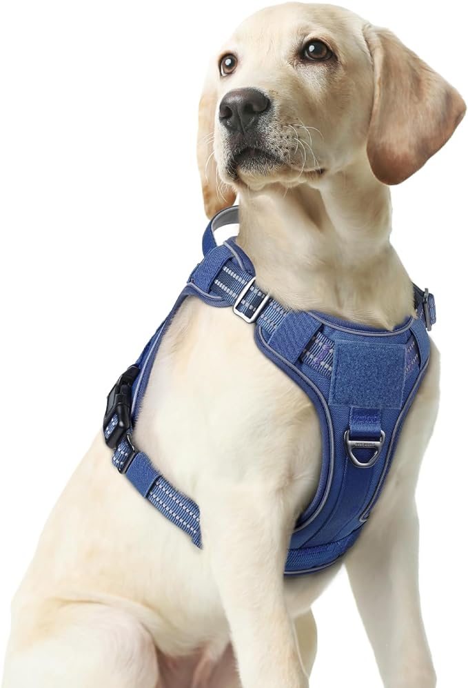 rabbitgoo Dog Harness Medium Sized No Pull, Tactical Service Dog Vest with Molle and Control Handle, Adjustable and Reflective Military Pet Harness for Easy Walking and Training, Blue, M
