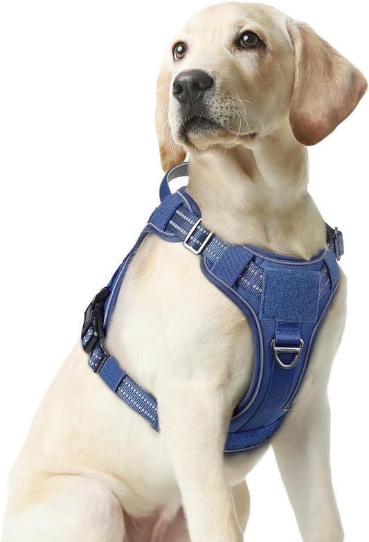 rabbitgoo Dog Harness Medium Sized No Pull, Tactical Service Dog Vest with Molle and Control Handle, Adjustable and Reflective Military Pet Harness for Easy Walking and Training, Blue, M