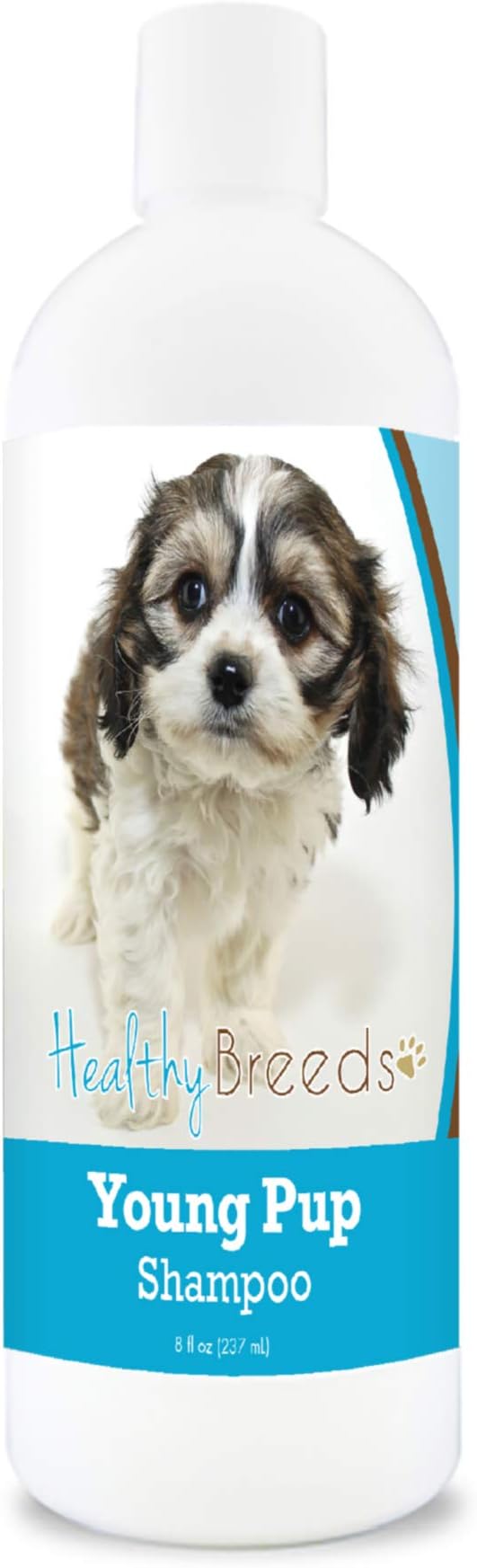 Healthy Breeds Cavachon Young Pup Shampoo 8 oz