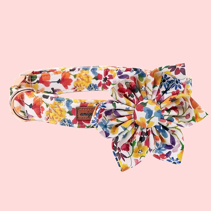 Uniqe Style Paws Flower Dog Collar, Puppy Collar Adjustable Girl Dog Collar with Flower, Durable Floral Pattern Pet Collar for X-Small Female Dogs