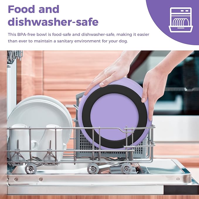 Stainless Steel Dog Bowls for Small Dogs, 40 Ounces/5 Cup Dog Food and Water Bowl, Double Wall Weighted Dog Dish, Rustproof Metal Pet Bowls with Non Slip Silicone Base