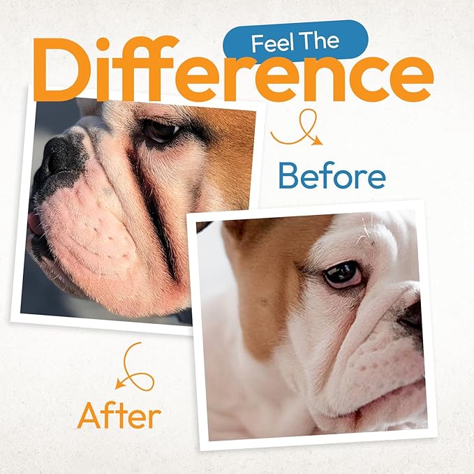 Bulldog Wrinkle Wipes for Dogs – Deodorizing & Soothing with Honeysuckle Extract – Non-Irritating, Cleans Wrinkles, Folds, Paws & Tail Pockets – for Bulldogs, Pugs & Frenchies (2 Packs of 100 Count)