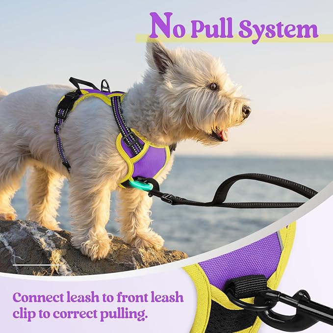 rabbitgoo Dog Harness, No-Pull Pet Harness with 2 Leash Clips, Adjustable Soft Padded Dog Vest, Reflective No-Choke Pet Oxford Vest with Easy Control Handle for Large Dogs, Purple & Yellow, XS