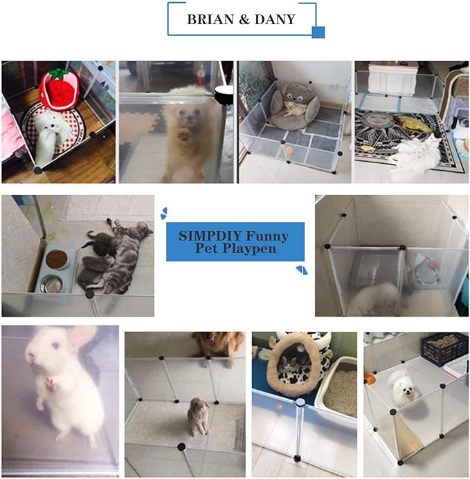 BRIAN & DANY Pet Dog Playpen, Clear Acrylic Puppy Dog Play Pen Indoor, Portable Small Animal Transparent Fence Panels for Rabbit, Kitten, Bunny, Cat, 28 X 20 Inch