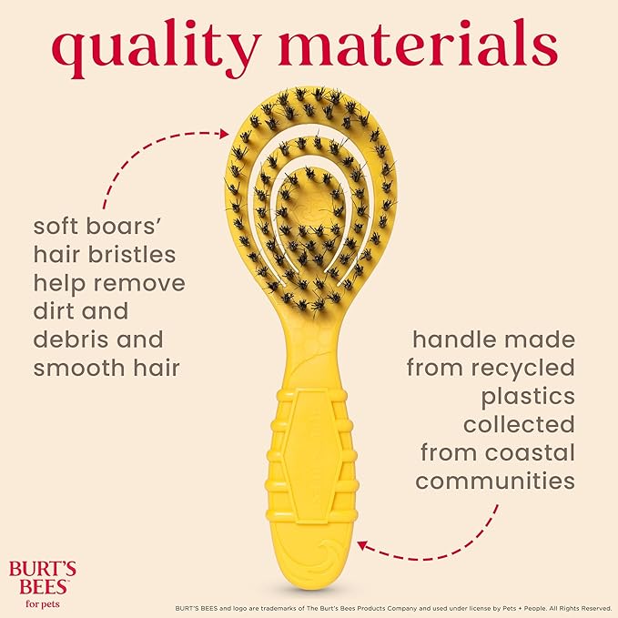 Burt's Bees for Pets Small Bristle Brush with Natural Boar’s Hair & Nylon | Handle Made from Recycled Plastics Collected from Coastal Communities | De-Shedding Eco Friendly Dog Grooming Brush