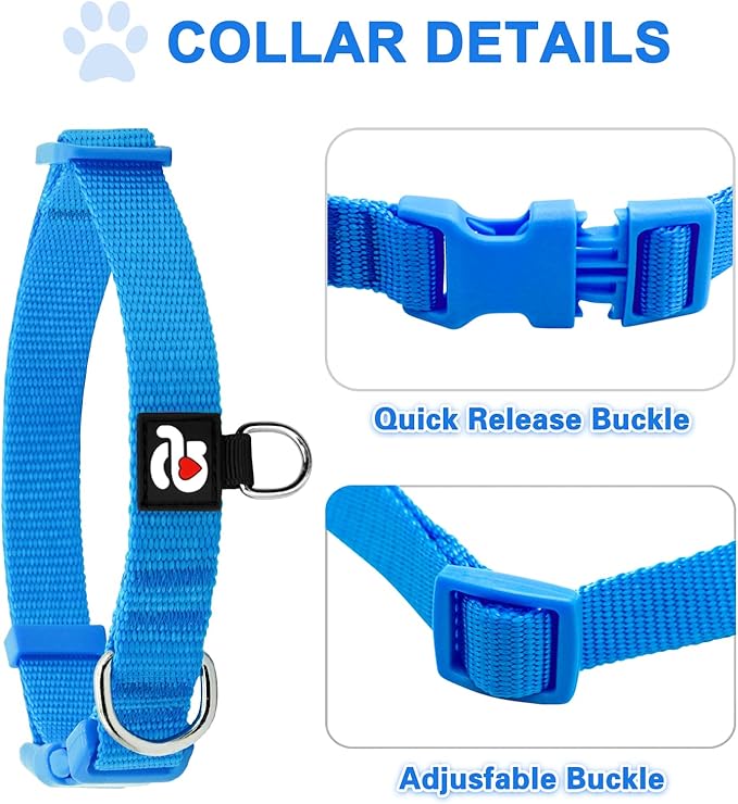 azuza 3 Pack Dog Collars Comfortable and Adjustable Nylon Dog Collars for for Small Dogs, S (11-16inch)，Green, Blue and Royal Blue