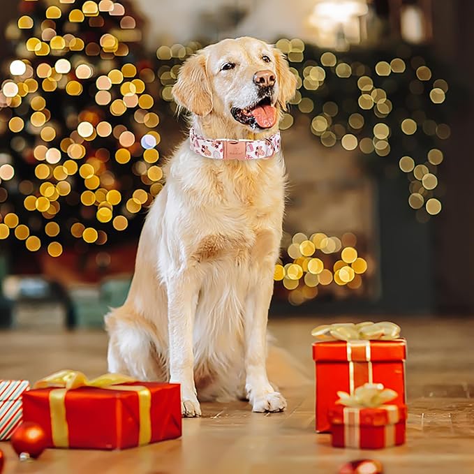 Christmas Dog Collar for Large Dog,White Santa Pink Elk Claus Male Dog Collar with Safety Metal Buckle Adjustable Puppy Collars for Small Medium Boy Dog,XL, Neck 16"-26"