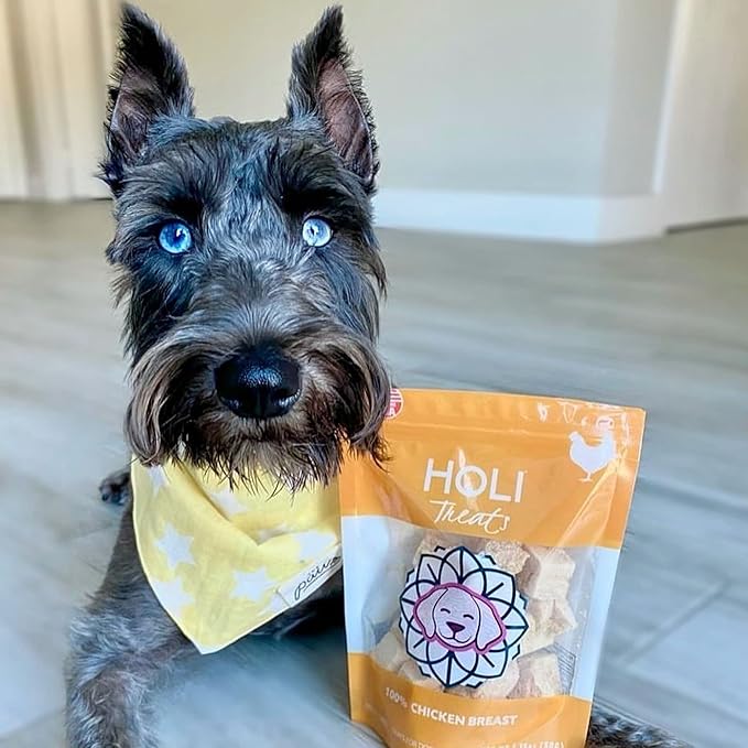 HOLI Freeze Dried Chicken Dog Treats - 100% All Natural Chicken Breast - Human Grade, Single Ingredient - Grain Free, Gluten Free, Soy Free – (3.5 Ounce)