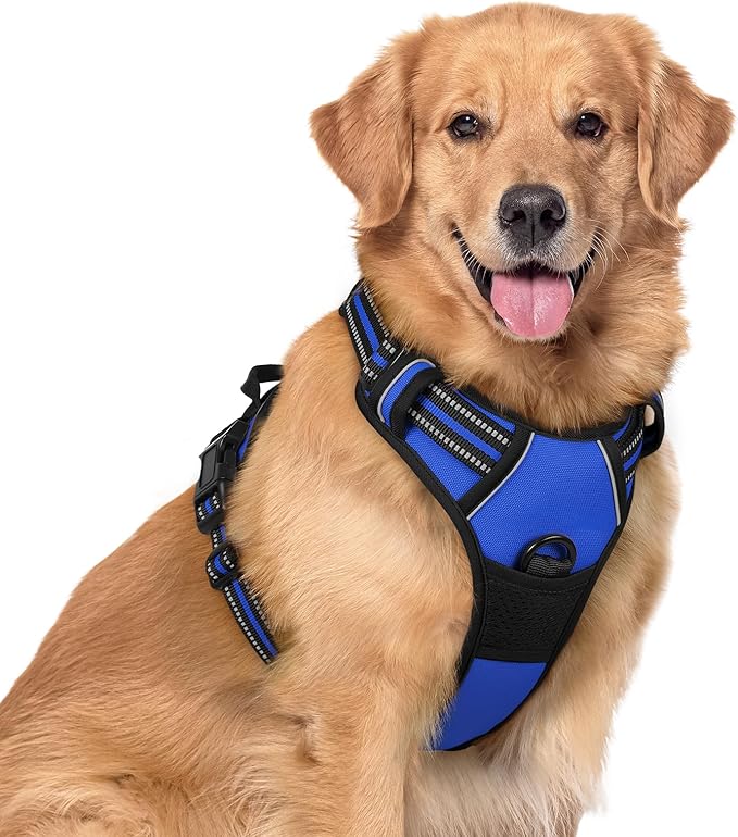 rabbitgoo Dog Harness, No-Pull Pet Harness with 2 Leash Clips, Adjustable Soft Padded Dog Vest, Reflective No-Choke Pet Oxford Vest with Easy Control Handle for Large Dogs, Dazzling Blue, XL