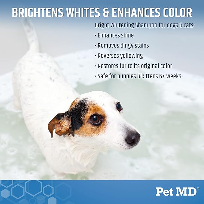Pet MD Bright Whitening Shampoo for Dogs & Cats - Colloidal Oatmeal Moisturizes and Restores Dry Fur - Professional Dog Shampoo Gallon - Tearless Grooming Formula for Puppies & Kittens