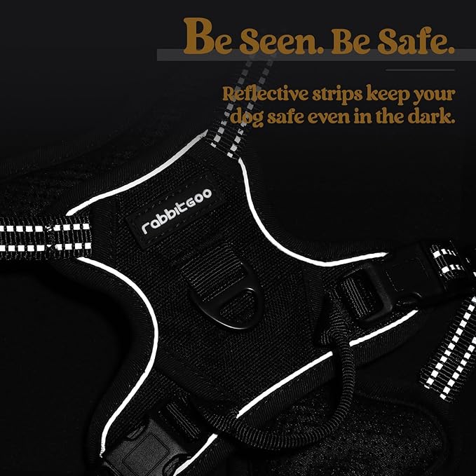 rabbitgoo Dog Harness, No-Pull Pet Harness with 2 Leash Clips, Adjustable Soft Padded Dog Vest, Reflective No-Choke Pet Oxford Vest with Easy Control Handle for Small Dogs, Black, X-Small