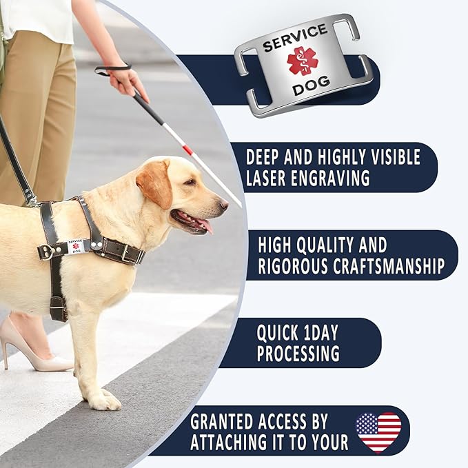 No Noise Stainless Steel K9 Service Dog Pet ID Jewelry Tags, Slide on Dog Collar or Harness Quickly and Securely – Stainless Steel/Extra Large