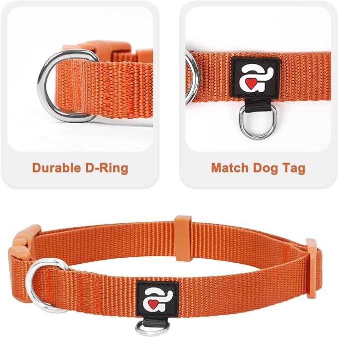 azuza 3 Pack Fall Dog Collars Comfortable and Adjustable Nylon Dog Collars for Medium Dogs, M (14-20inch)， Ginger Yellow, Rust Orange and Latte Brown