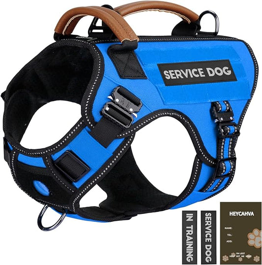 Service Dog Vest - HEYCAHVA Tactical Dog Harness Full Metal Buckles Dog Vest for Large Medium Dog Reflective No Pull Dog Harnesses with Leather Handle, Hook & Loop for Hiking Training (Blue, M)