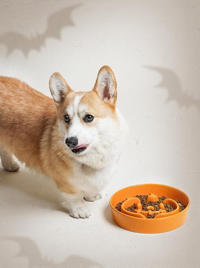 LE TAUCI Dog Bowls Slow Feeder Ceramic, 3 Cups Slow Feeding Dog Bowl Small Medium Breed, Puppy Slow Feeder Bowl for Fast Eater, Dog Dishes to Slow Down Eating, Puzzle Dog Food Bowl, Pumpkin Orange