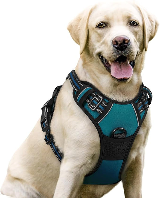 rabbitgoo Dog Harness, No-Pull Pet Harness with 2 Leash Clips, Adjustable Soft Padded Dog Vest, Reflective No-Choke Pet Oxford Vest with Easy Control Handle for Large Dogs, Blue Coral, L