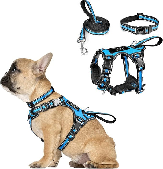 WINSEE Pet Harness Collar and Leash Set, All-in-one Reflective Dog Harness No Pull with Adjustable Buckles for Puppies, Small, Medium, Large, and Extra-Large Dogs (Small, Blue)