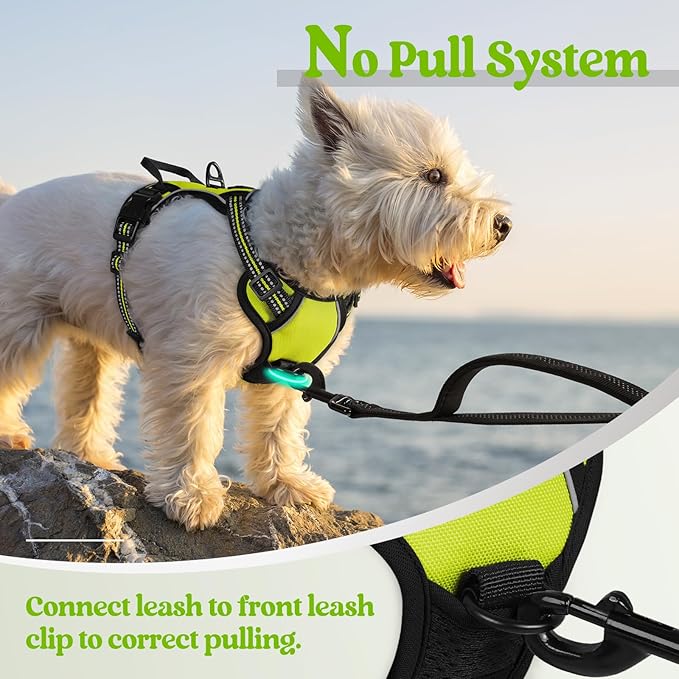 rabbitgoo Dog Harness, No-Pull Pet Harness with 2 Leash Clips, Adjustable Soft Padded Dog Vest, Reflective No-Choke Pet Oxford Vest with Easy Control Handle for Small Dogs, Wild Lime, XS