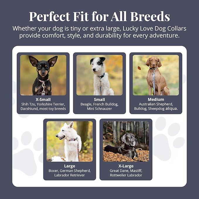 Lucky Love Dog - Easy Click Buckle Dog Collar with Leash Set Combo, Durable & Comfortable Collar for Male & Female Dogs, Pet Collar for Small to Large Dogs, Secure Fit - Blackbird Combo, X-Small