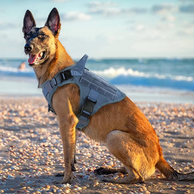 rabbitgoo Tactical Dog Harness for Large Dogs, Heavy Duty Dog Harness with Handle, No-Pull Service Dog Vest Large Breed, Adjustable Military Dog Vest Harness for Training Hunting Walking, Blue, S