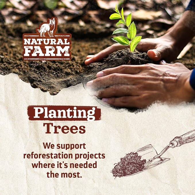 Natural Farm Dog Bones for Large Dogs (5-6 Inch, 2-Pack), 100% Beef Bone Marrow Dog Treats, High in Minerals & Vitamins, Grain-Free, Long-Lasting Bones Chews, Supports Dental Health