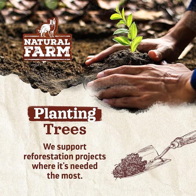 Natural Farm Jumbo Bully Sticks (6 Inch, 4 Pack), Odor Free, Extra-Thick Dog Chews - Fully Digestible 100% Beef Treats, Supports Dental Health, Keep Your Dog Busy with 50% Longer Lasting Chews