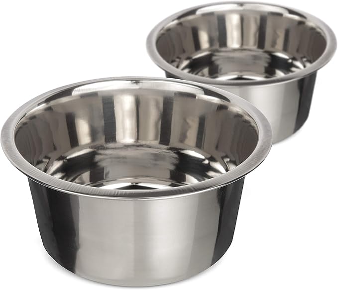 Neater Pet Brands Stainless Steel Dog and Cat Bowls (2 Pack) Neater Feeder Medium Deluxe Extra Replacement Bowl (Metal Food and Water Dish) (5 Cup)