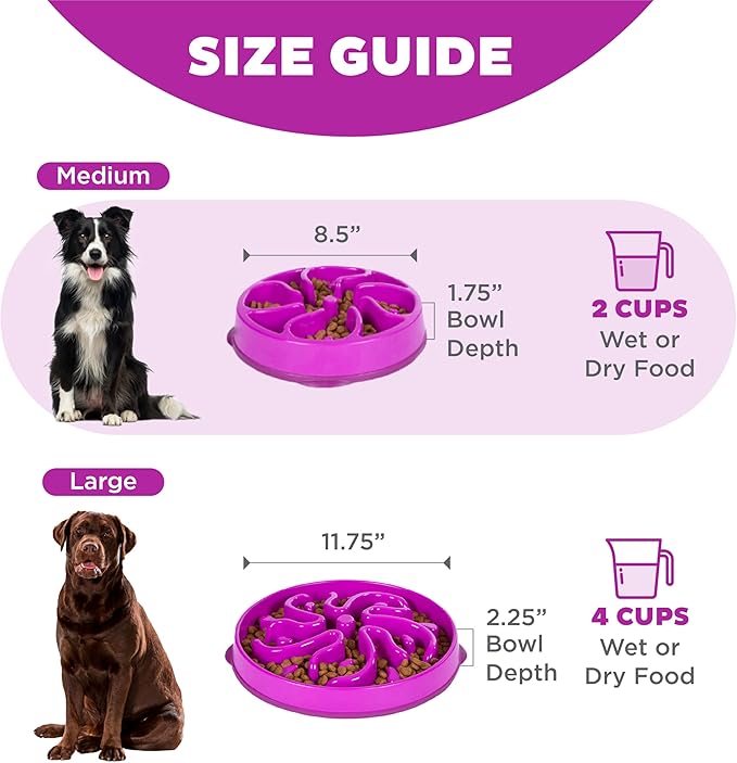 Outward Hound Fun Feeder Slo Bowl, Slow Feeder Dog Bowl, Medium/Mini, Purple
