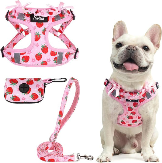 PUPTECK No Pull Dog Harness and Leash Set Reflective No Choke Step in Puppy Halter for XS Small and Medium Sized Dogs, Pink, Printed Fabric, L