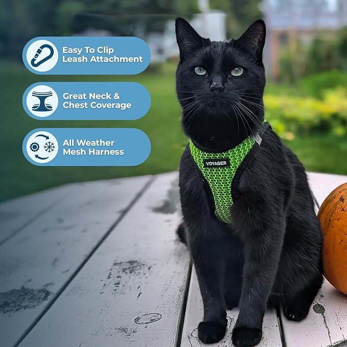 Voyager Step-in Air Dog Harness - All Weather Mesh, Reflective, No Pull Harness for Small, Medium Dogs, Cats - Secure with Hook & Loop Fastener, Buckle, Double D-Rings - Lime Green 2-Tone, S