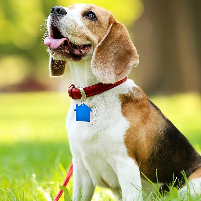 Frienda 48 Pcs Blank Pet ID Tag Colorful Aluminum Dog Cat Tags Blank Round Heart Star Bone House Rectangle Tags with Ring Pet ID Tags Pendant with Hole for Pet Dog Cat Name Phone Number, 6 Styles