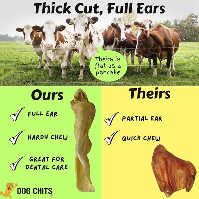 Dog Chits Cow Ears Dog and Puppy Treats - All Natural Grain and Chemical Free Training Chews - High Protein and Low Fat - Supports Dental Health - Made in The USA - 10 Count