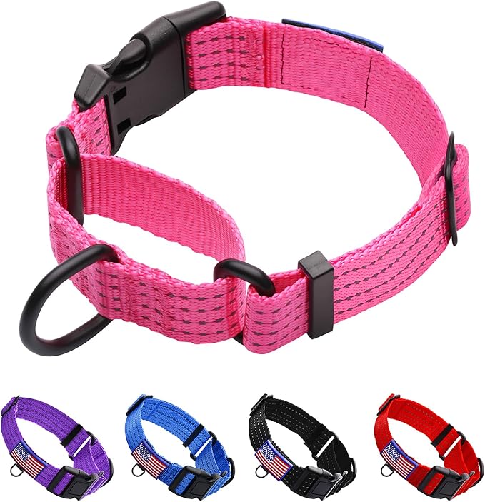 Martingale Collar for Training Dogs. Adjustable Reflective Collars with Buckle-USA Flag- NO Pull-Prevents Slipping Out, for Medium Large XL Dogs. Helps with Strong pullers(L, Pink)