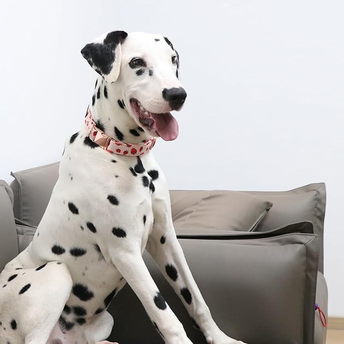 Lionet Paws Dog Collar, Comfortable Adjustable Cute Collar with Metal Buckle for Male Female Dogs Gift, Strawberry Pattern, Large, Neck 16-24 inches