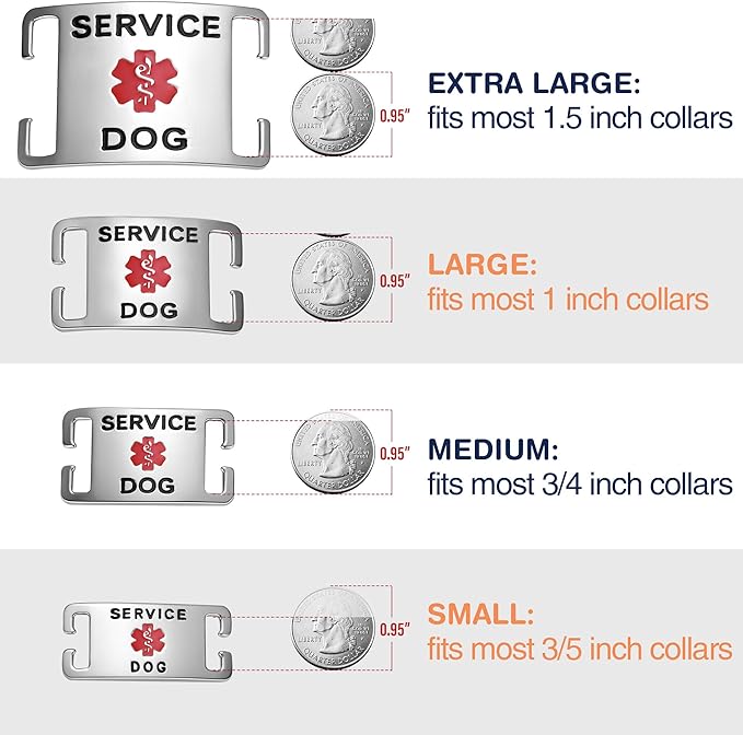 No Noise Stainless Steel K9 Service Dog Pet ID Jewelry Tags, Slide on Dog Collar or Harness Quickly and Securely – Stainless Steel/Extra Large