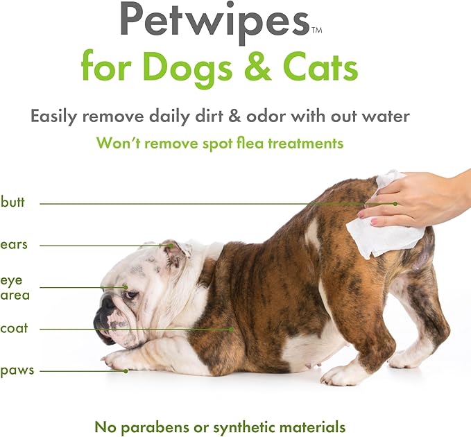 Petkin Plant-Based PetWipes, 100 Wipes, 4 Pack - Biobased, Sustainable, Big & Thick Pet Wipes for Dogs & Cats - for Face, Paws, Ears, Body & Eye Area - Consciously Cleans & Conditions - Unscented