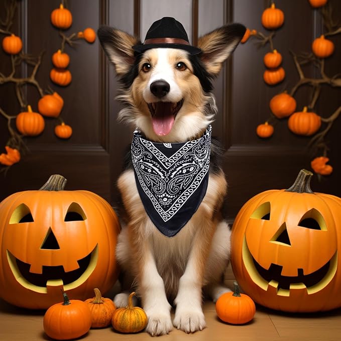 choyaxo Dog Halloween Costumes Pet Cowboy Costume for Dogs Cat Cowboy Hat with Bandana Scarf Set Party Accessories (Black)