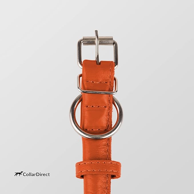 CollarDirect Rolled Leather Dog Collar, Soft Padded Round Puppy Collar, Handmade Genuine Leather Collar Dog Small Large Cat Collars 13 Colors (8-11 Inch, Orange Textured)