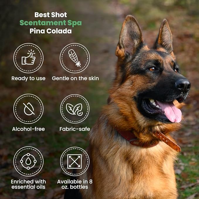 Best Shot Scentament Spa Botanical Body Splash, Body Spray Conditioner for Pets, Cat and Dog Cologne Spray, Alcohol-Free, Ready-to-Use Detangler Spray, Pina Colada, 8 Oz.